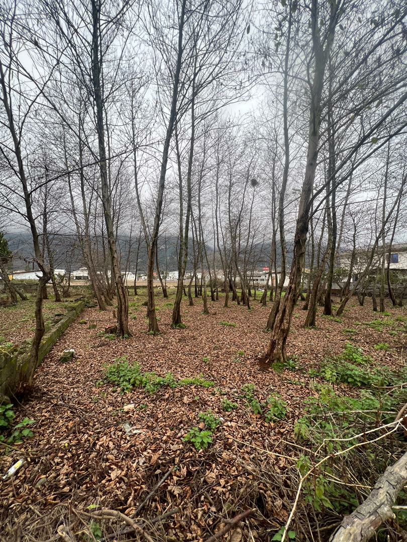 زمین 769 متری شمالی جنوبی کهنه سرا 