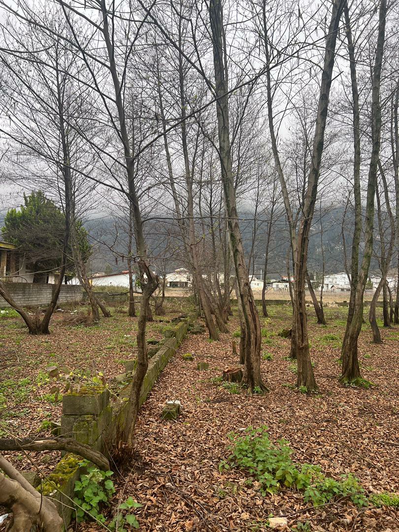 زمین 769 متری شمالی جنوبی کهنه سرا 