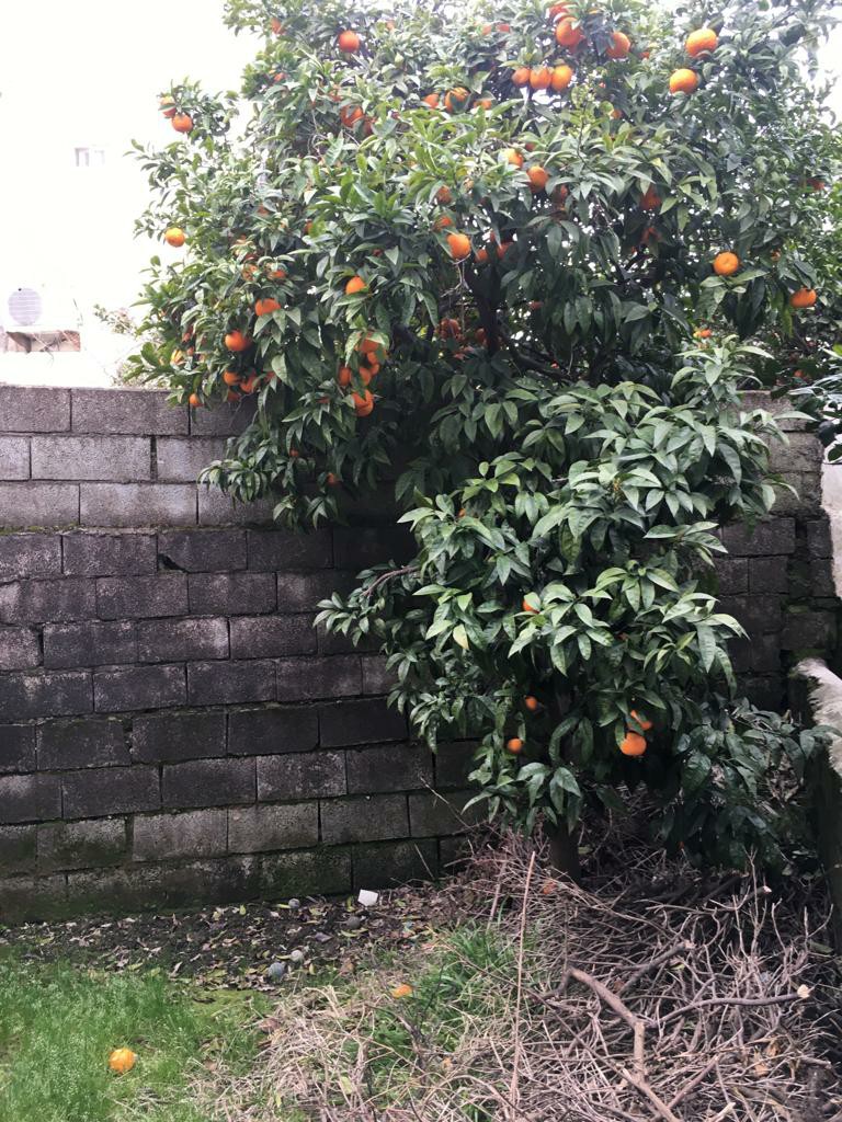 ویلا 300 متری داخل مجتمع وازیوار