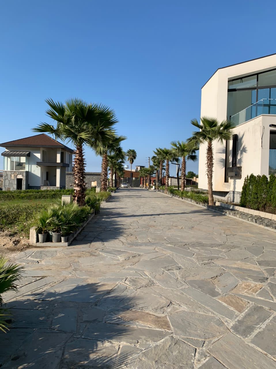 سه قطعه زمین ۳۵۰،۴۰۰و۵۰۰متری نخ شمال 