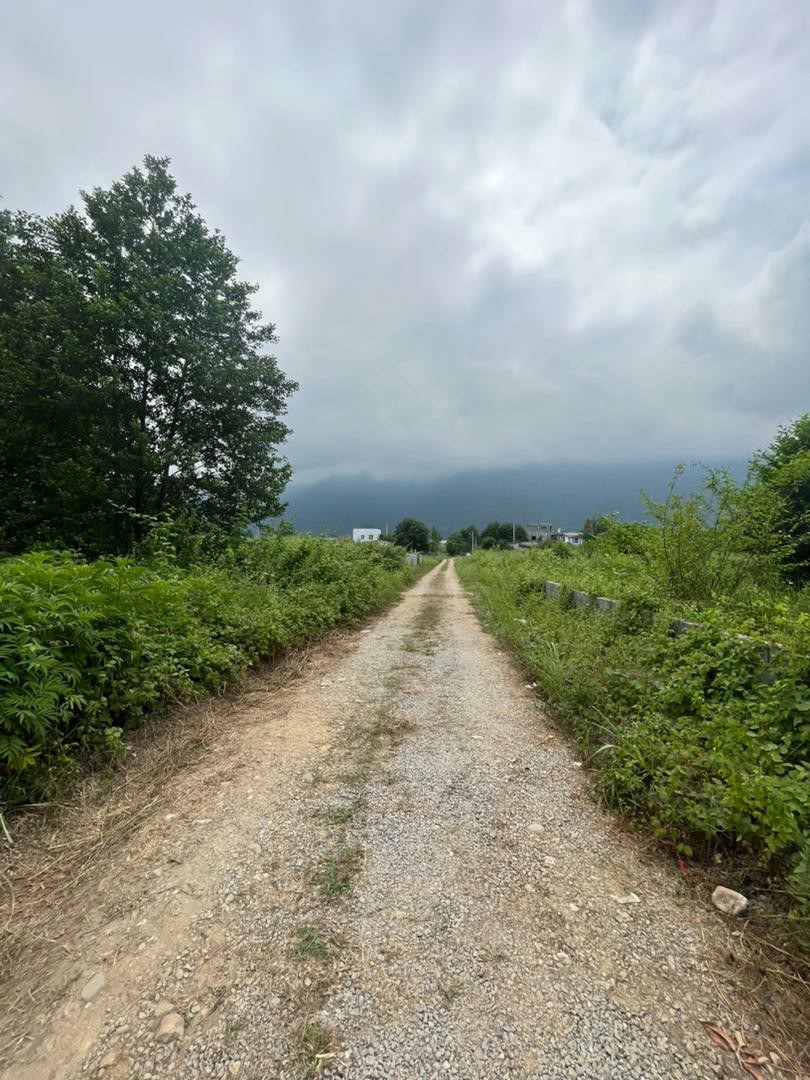 سه قطعه زمین 250و256و277متری انارور