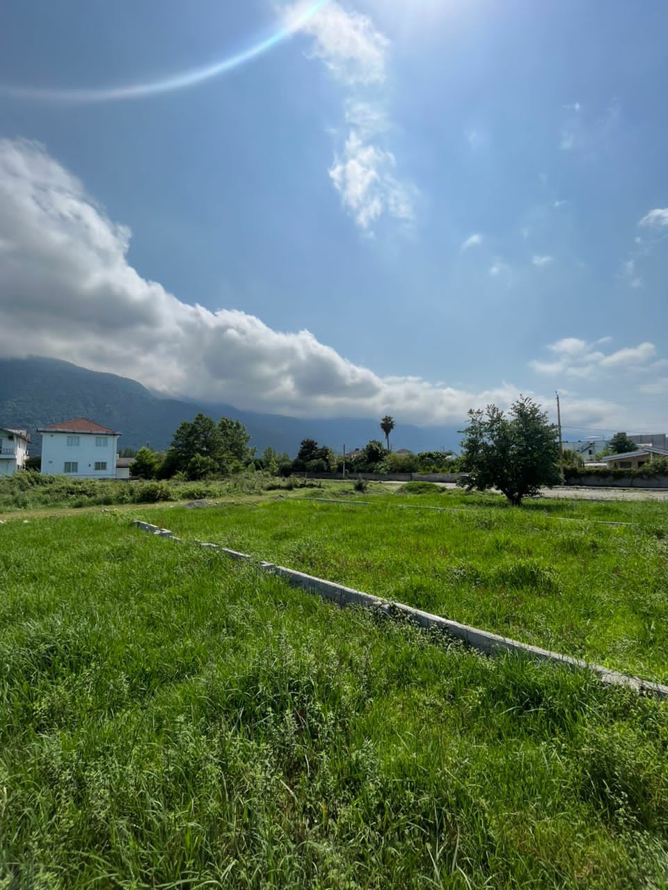 زمین 319 متری کاربری باغات انارور 