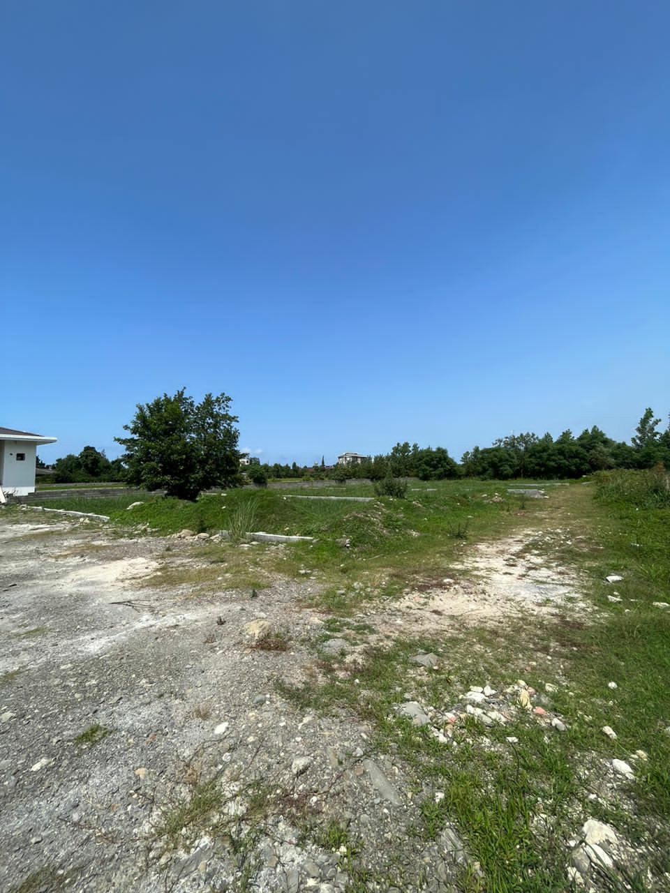 زمین 319 متری کاربری باغات انارور 