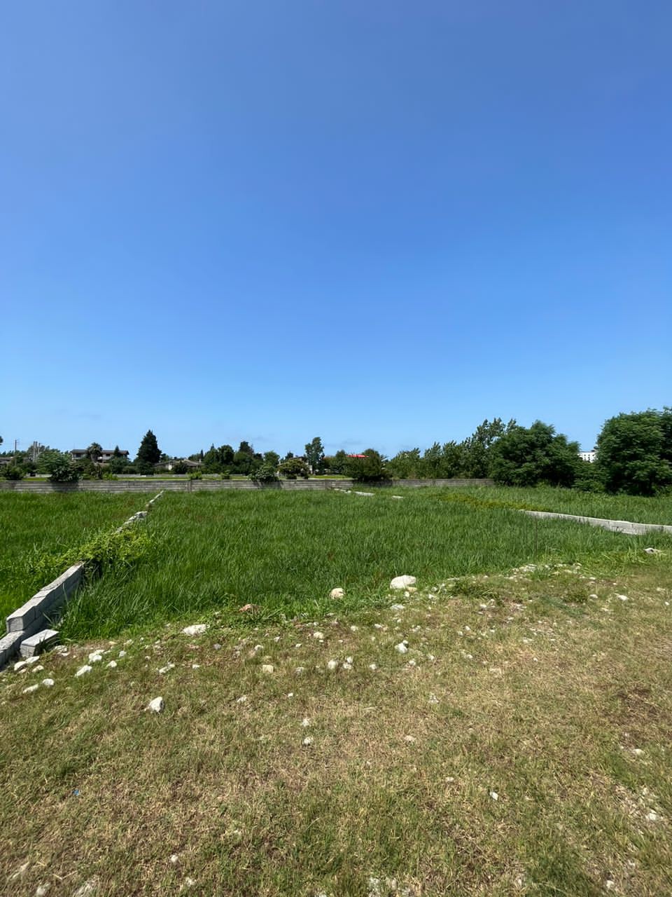 زمین 319 متری کاربری باغات انارور 