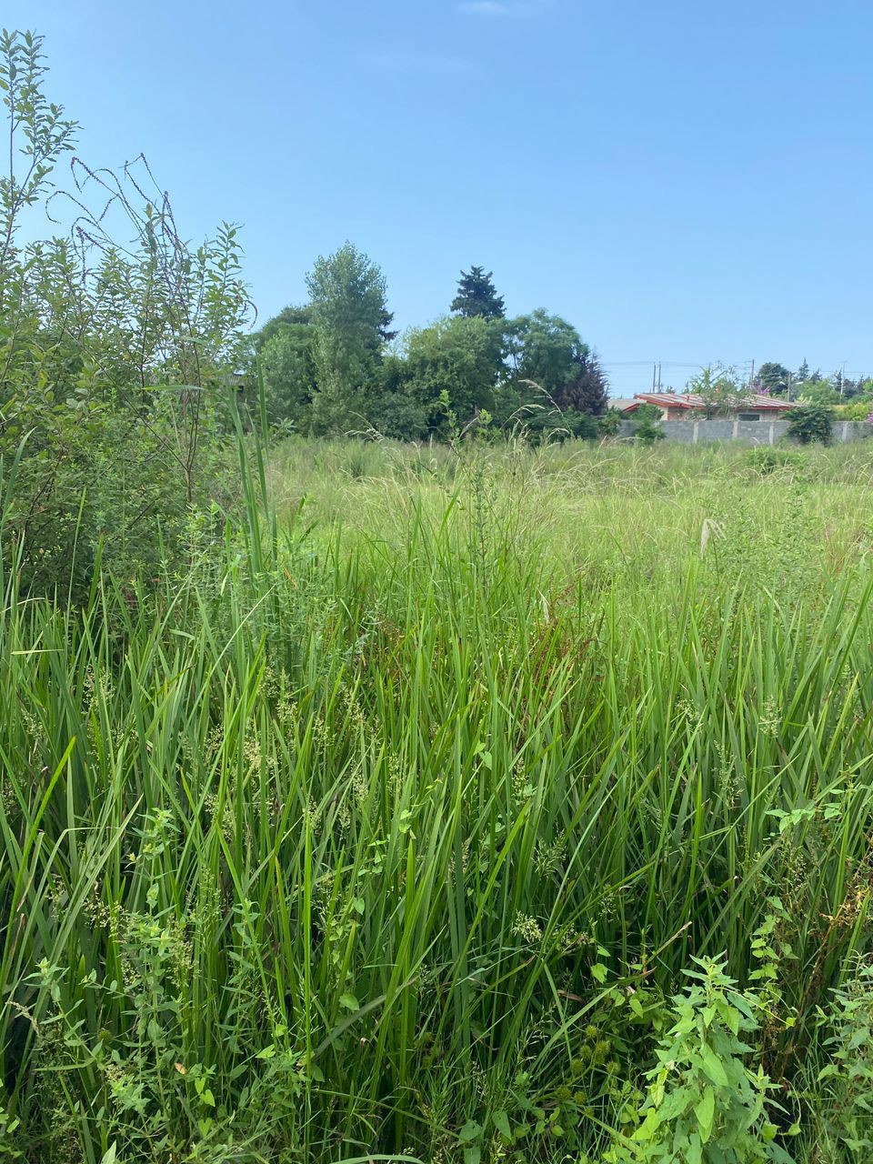 زمین 210 متری مسکونی دهکده کتی