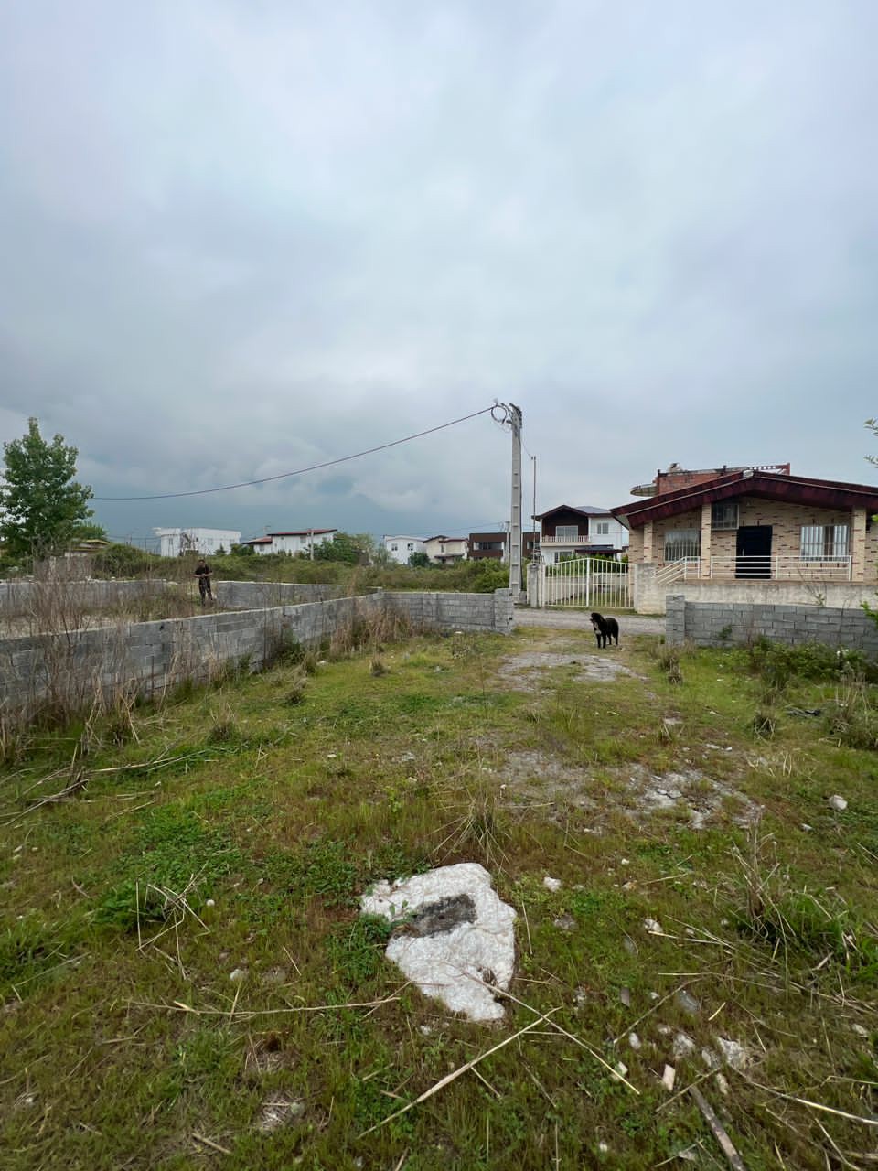 2قواره زمین 220 متری جنگلی داخل مجتمع چلندر 