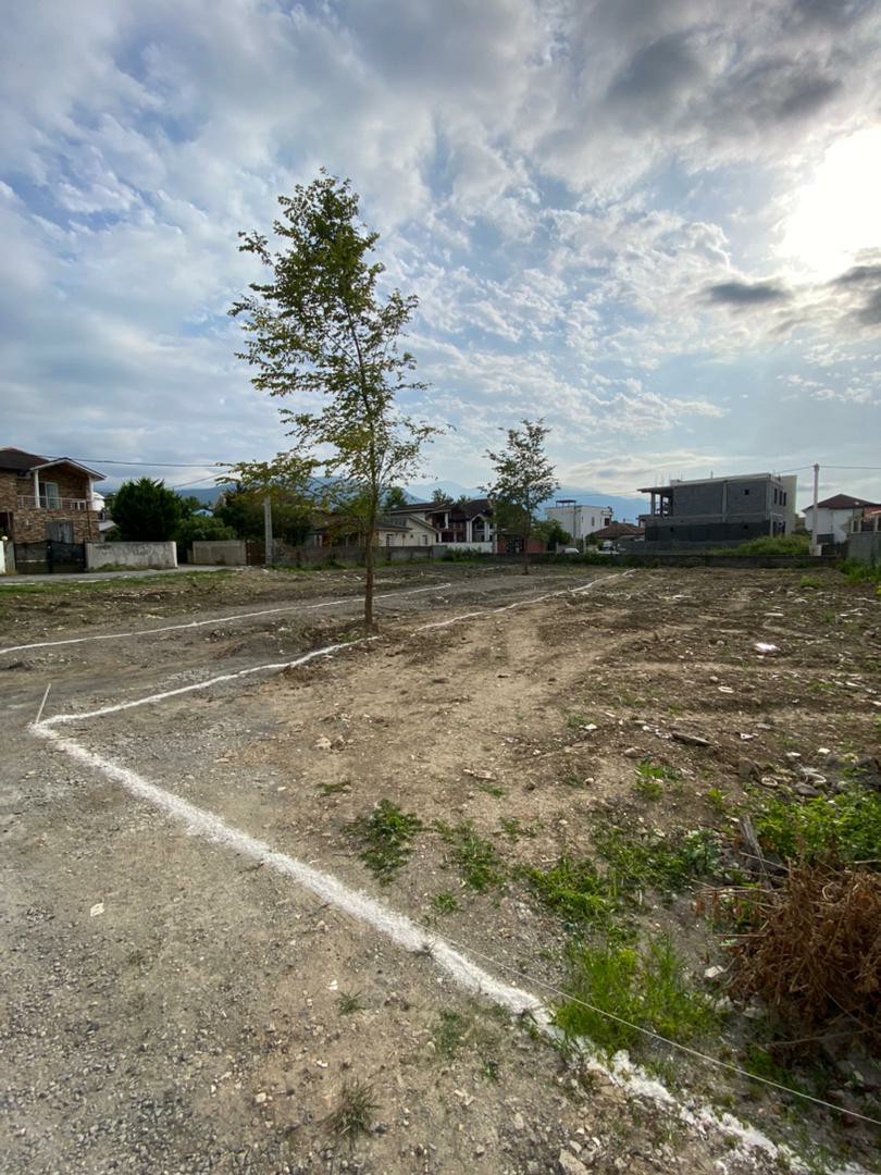 زمین 235 متری جنگلی ونوش 