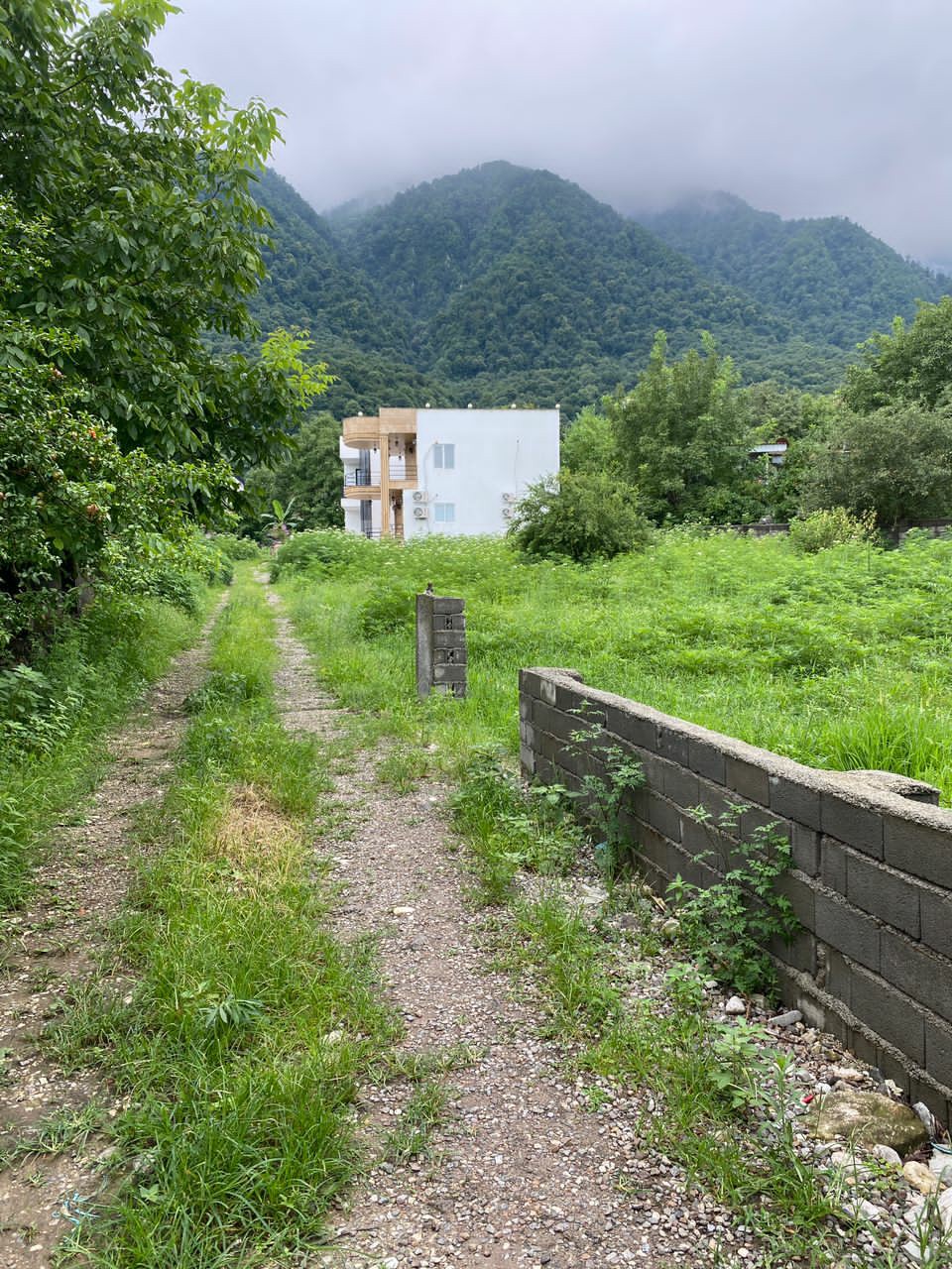 زمین 280 متری جنگلی چلندر 