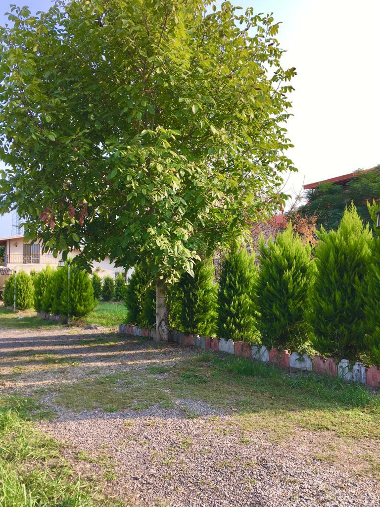 زمین 300 متری شهرکی کاربری باغات 