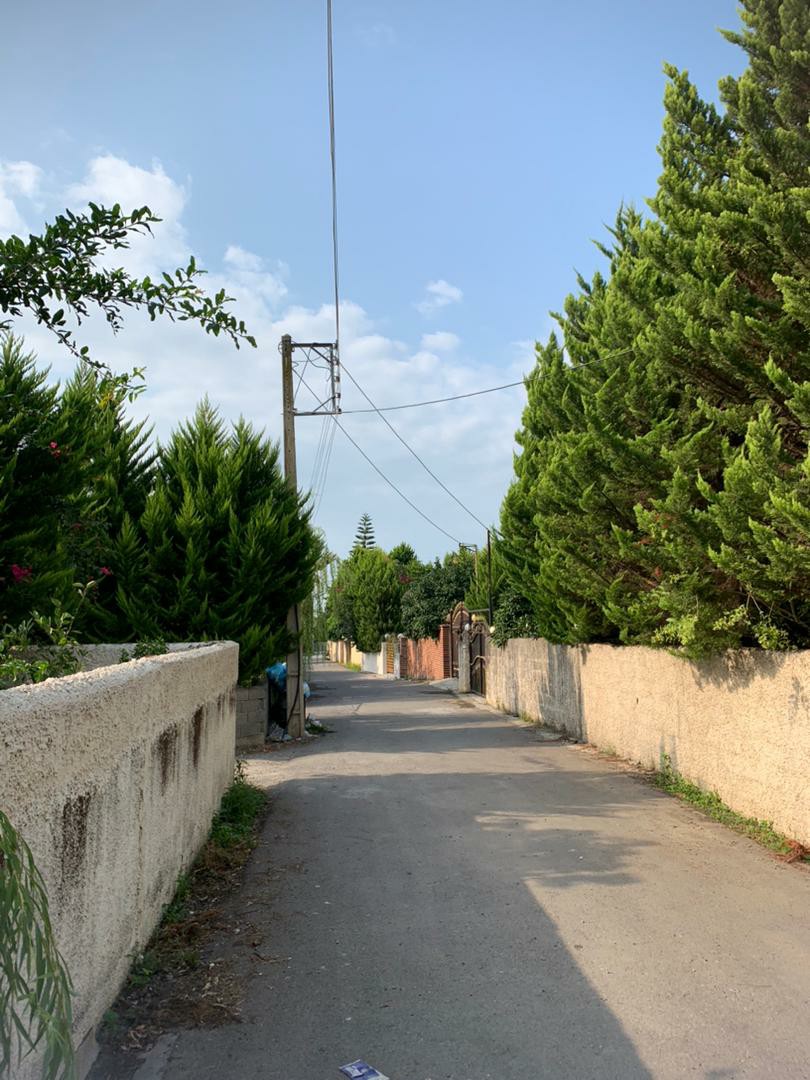 ویلا 250 متری جنگلی ونوش 