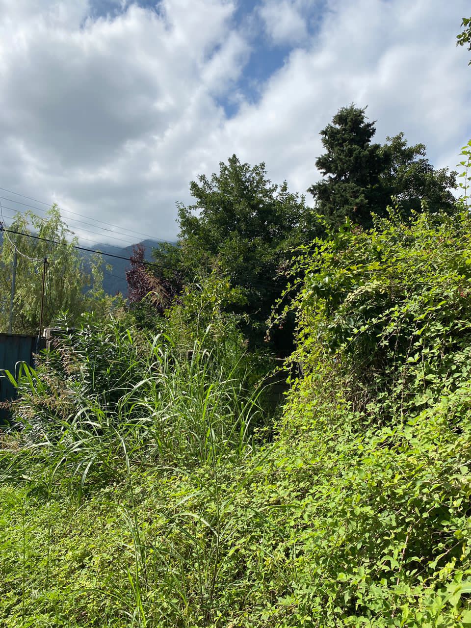 زمین 1000 متری شمالی جنوبی ملکار 