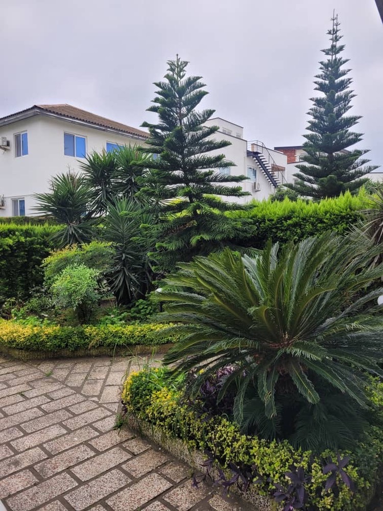 ویلای 320 متری دوبلکس سیاهرود