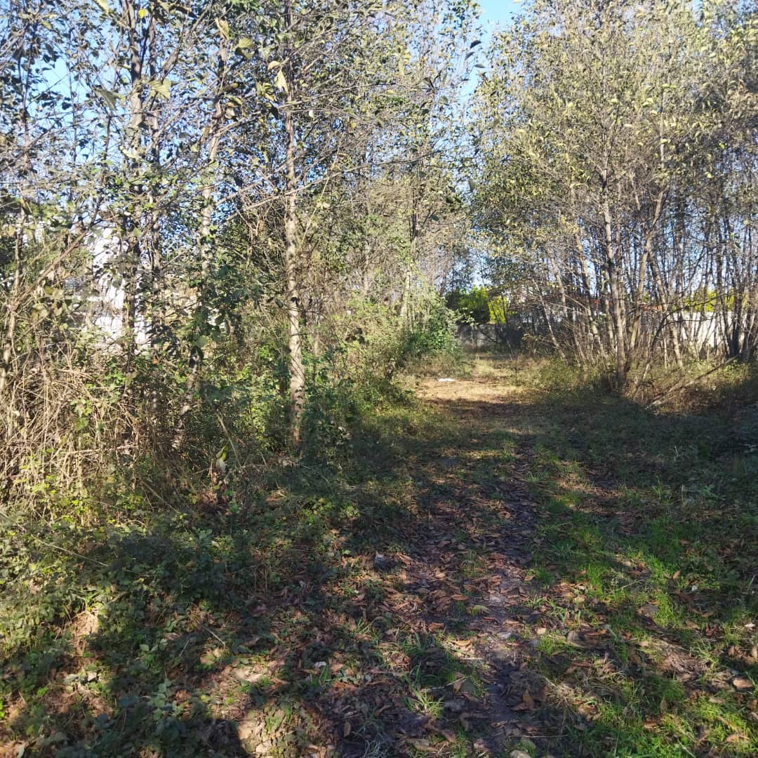 630 متر زمین زراعی کهنه سرای نوشهر