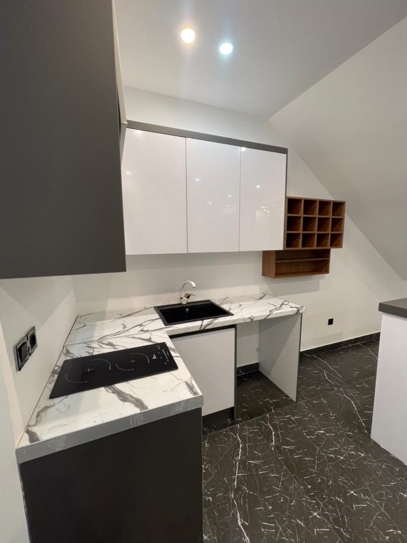 ویلای 411 متری لاکچری و دوبلکس رویان