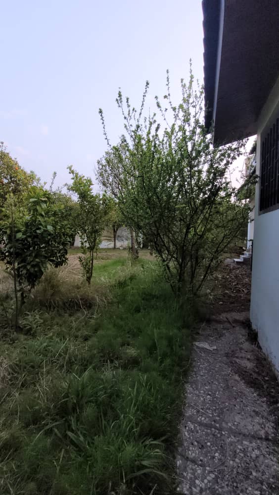 ویلا باغ 1200 متری شهرکی سیاهرود