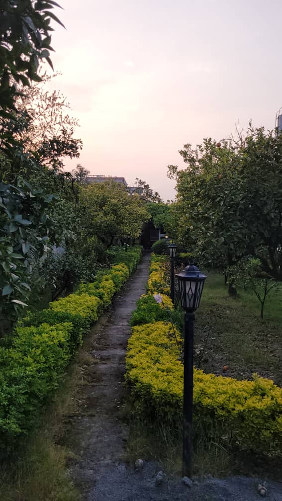 ویلا باغ 480 متری سیاهرود