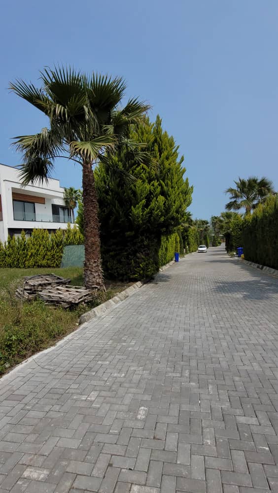 500 متر زمین خالص شهرکی داخل بافت سیسنگان