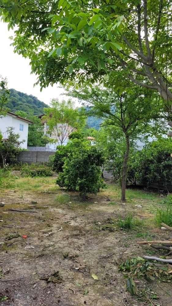 300 متر زمین جنگلی رویان سیسنگان