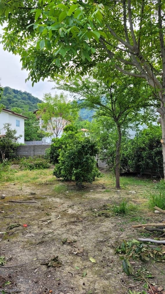 300 متر زمین جنگلی رویان سیسنگان