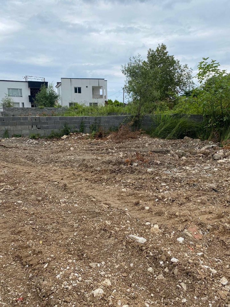 زمین 250 متری ملکار ویو عالی جنگل