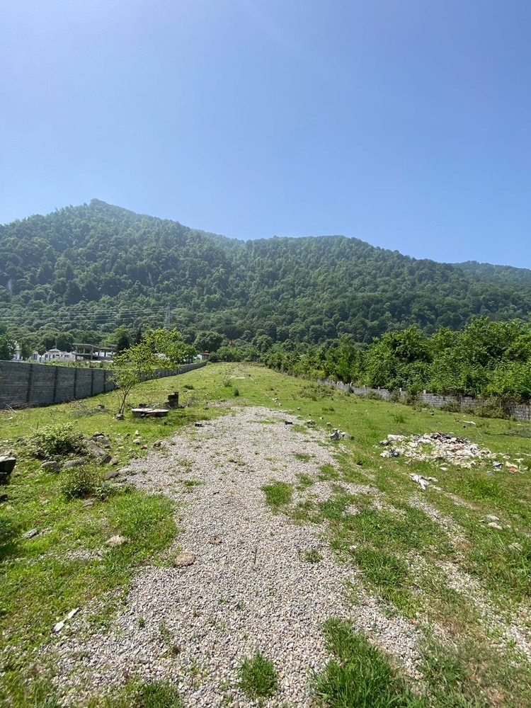 7000متر زمین جنگلی چلک