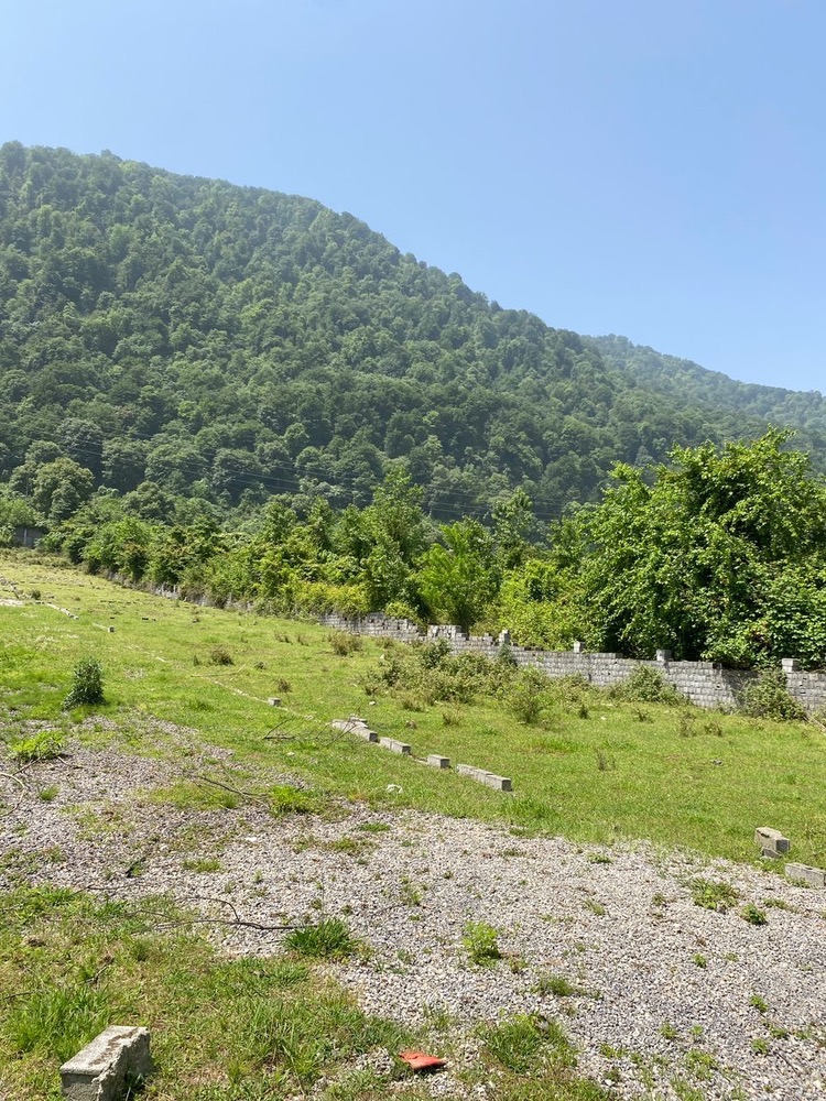 7000متر زمین جنگلی چلک