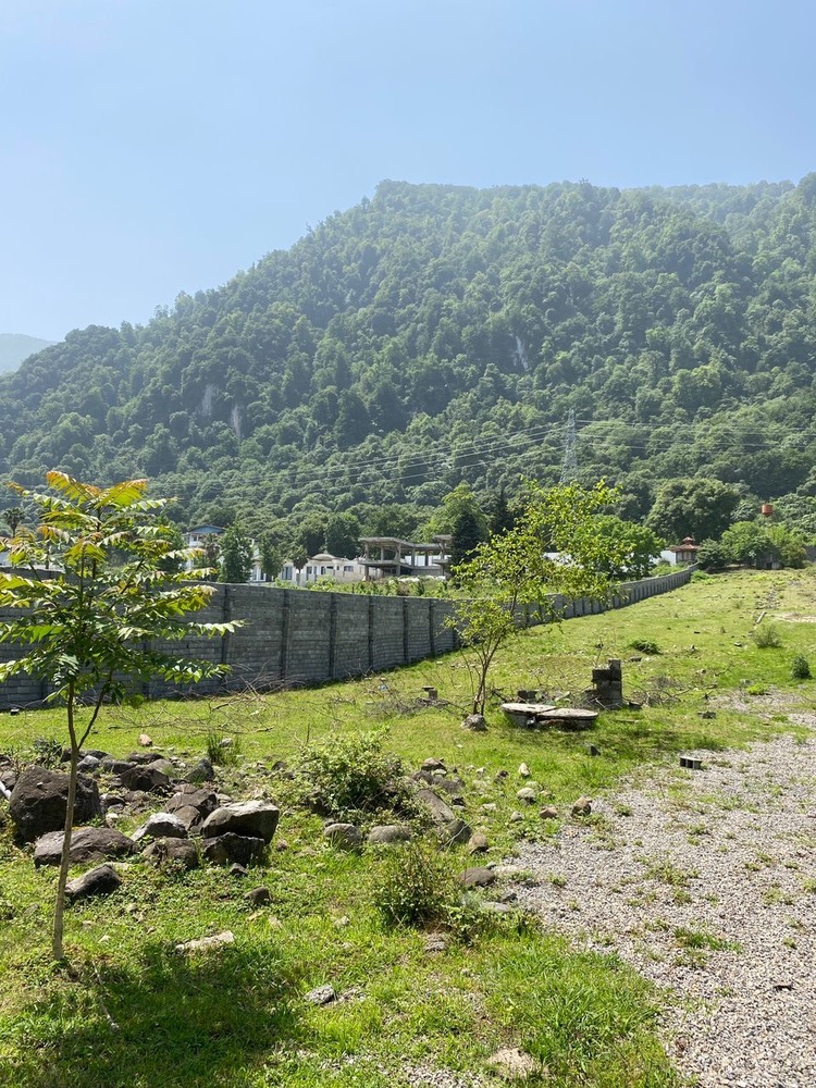 7000متر زمین جنگلی چلک